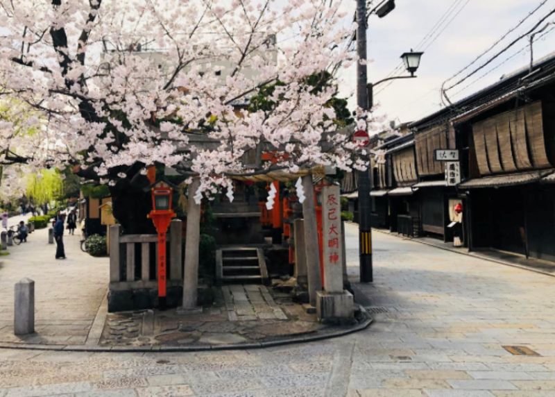 geisha tại Kyoto chống chọi với dịch COVID-19 như thế nào geisha tại Kyoto chống chọi với dịch COVID-19 như thế nào